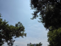 상담한 형사전문변호사가 직접 경찰조사에 동행하는 진행 원칙