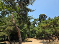 직장과 자격을 지켜야 하는 의뢰인을 위한 형사사건 변호