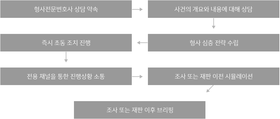 상담부터 사건 파악, 전략 수립, 초동조치, 자료 검토와 브리핑을 보여주는 형사사건 진행과정 인포그래픽